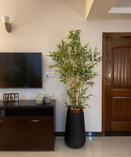 Tall Bamboo Plant 7 Feet