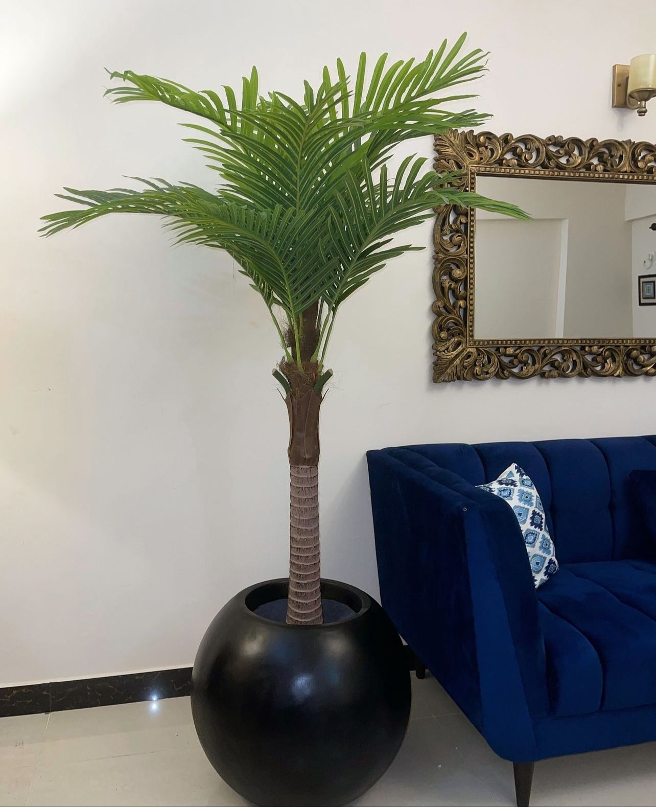 Tall Areeca Palm 7 Feet