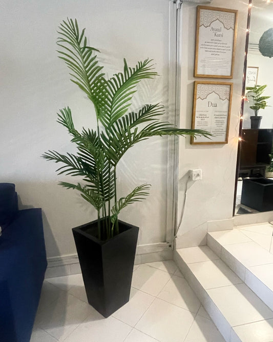 Tall Areeca Palm 6 Feet