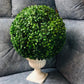 Bonsai Ball