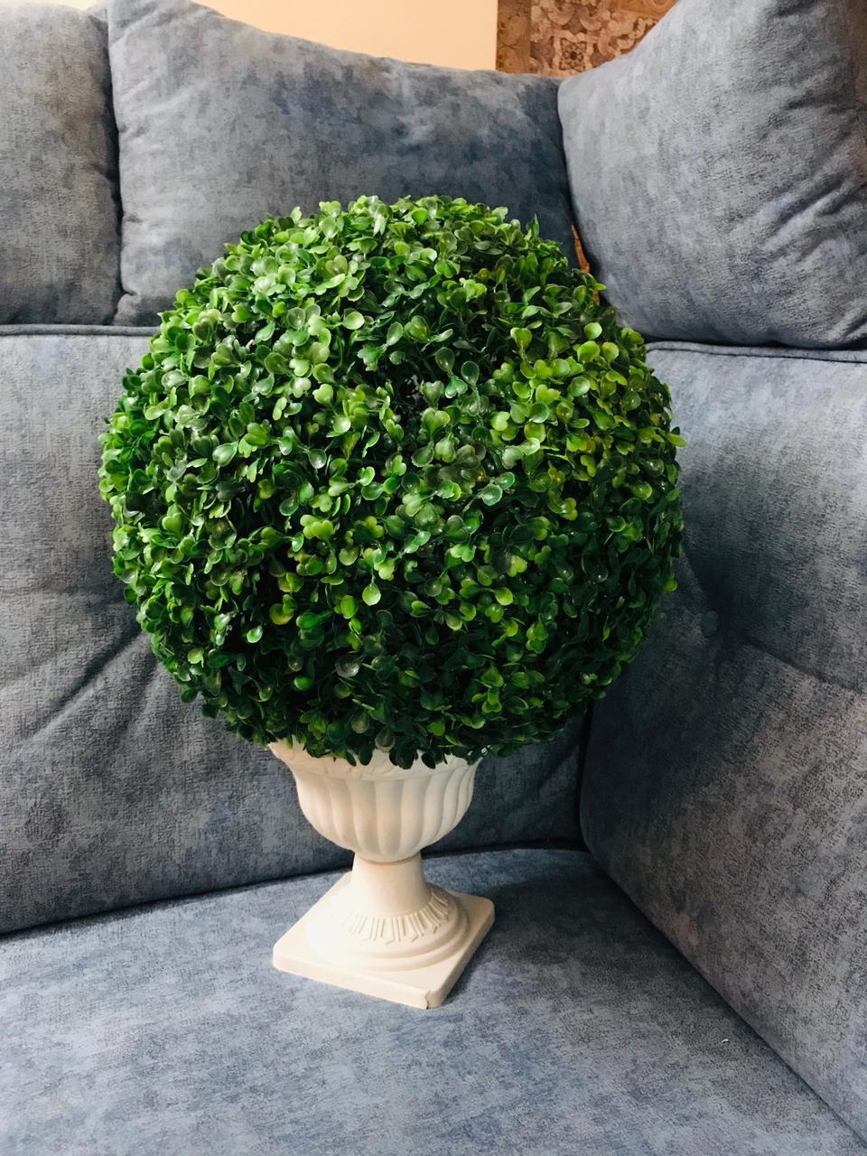 Bonsai Ball