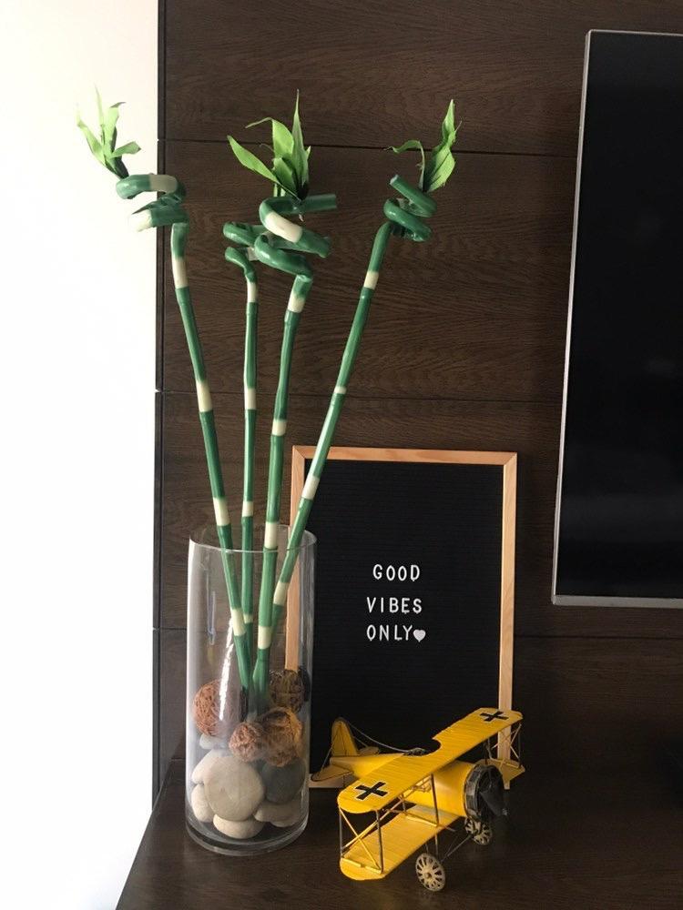 Lucky Bamboo Sticks