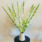 White Gladiolus Stems