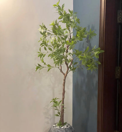 Tall Neem Tree